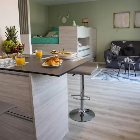 Studio' Cocooning*fibre*centre Ville*auto 24/24* Saint-Louis (Haut-Rhin)